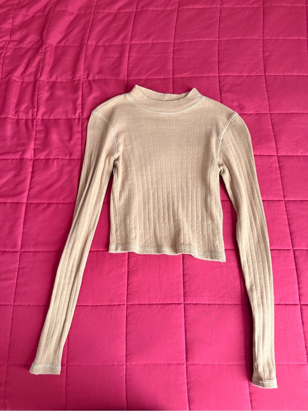 American Eagle Outfitters Beige Ribbed Mock Neck Long Sleeve Crop Top